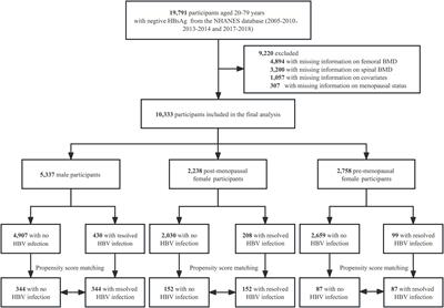 Association between resolved hepatitis B virus infection and femoral and spinal bone mineral density in American adults: a cross-sectional study